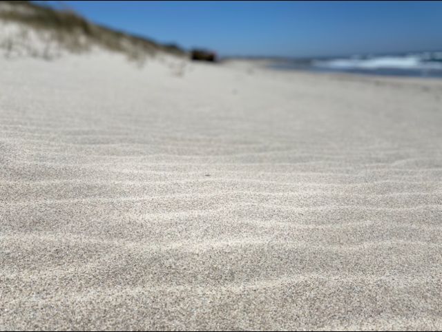 Acercar imagen: Beatriz Goce Vidal - Consulta Online