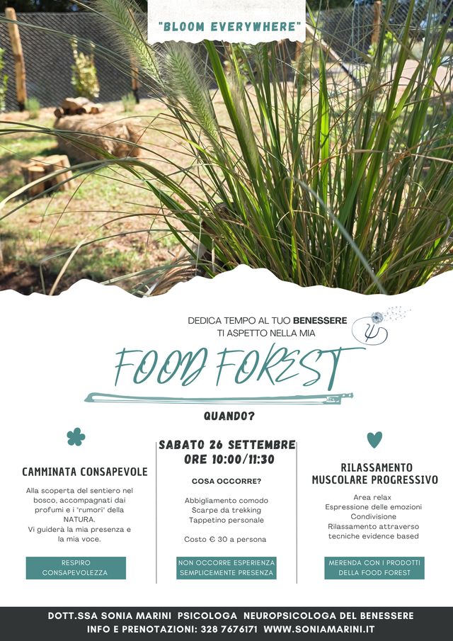Ingrandire l'immagine: Consulenza online