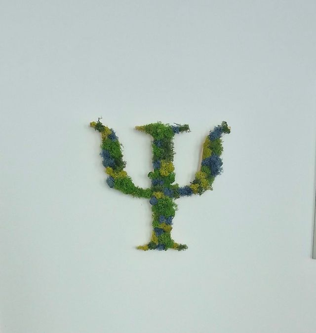 Ingrandire l'immagine: Studio Homing