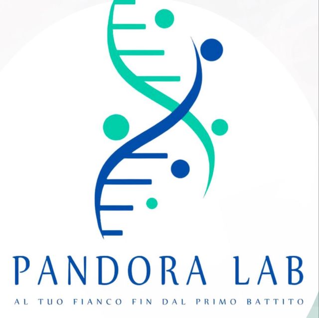 Ingrandire l'immagine: PANDORA LAB