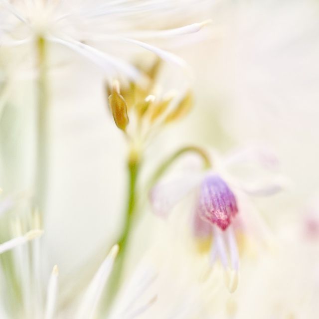 Bild vergrößern: Frauenarztpraxis Nymphenburg