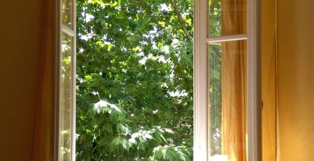 Ingrandire l'immagine: Studio di Psicologia e Psicoterapia