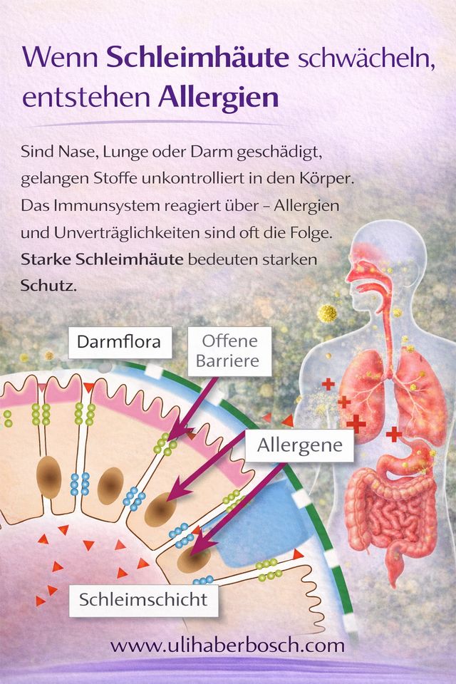 Bild vergrößern: Heilpraktiker Uli Haberbosch