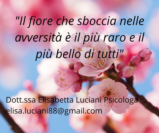 Ingrandire l'immagine: Studio Neuronet