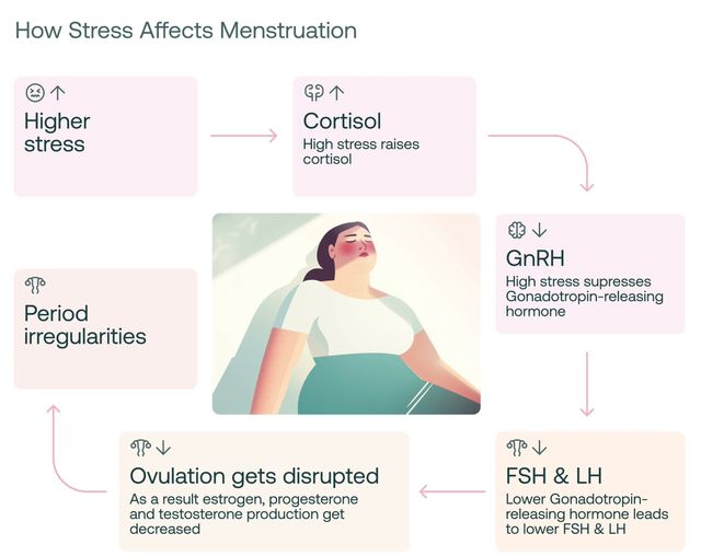Powiększ obraz: Specjalistyczny Gabinet Ginekologiczno-Położniczy