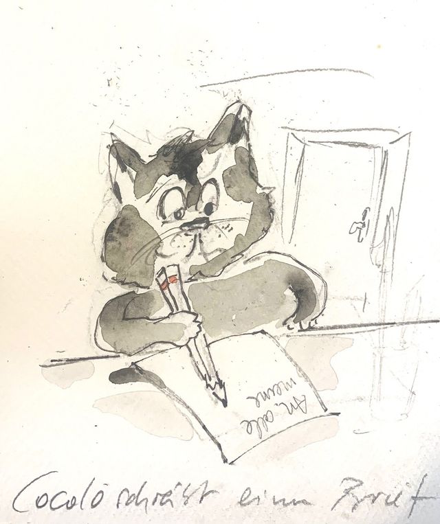 Acercar imagen: Consulta online