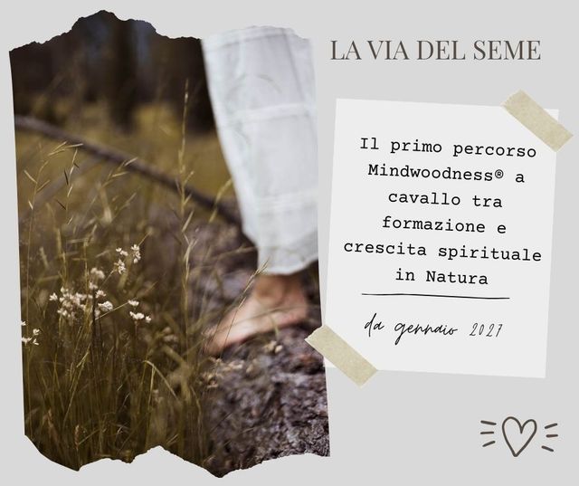 Ingrandire l'immagine: Domino Kids