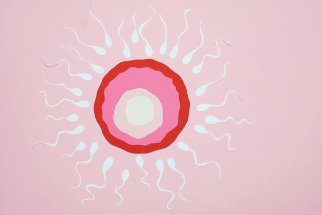 Ingrandire l'immagine: 