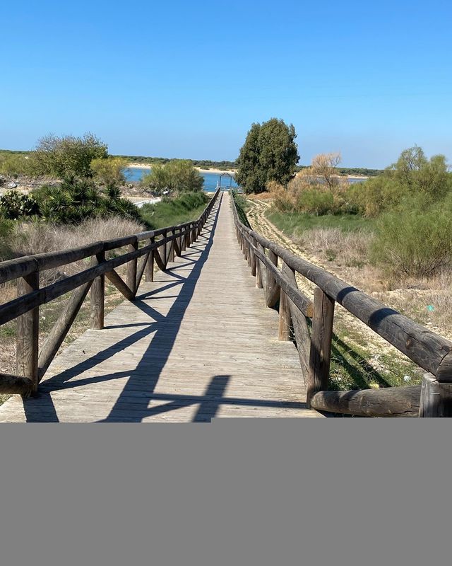 Acercar imagen: Amiti Pilar Gonzalez