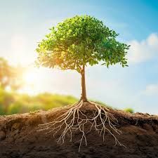 Acercar imagen: Centro de Psicología y Terapia Norma Duré Riquelme