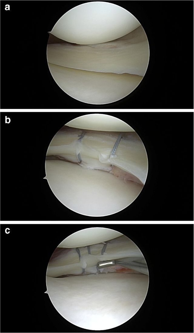 Ingrandire l'immagine: Centri Medici Dyadea