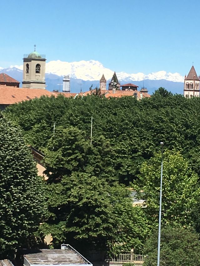 Ingrandire l'immagine: GIOVANNI SALAMANO