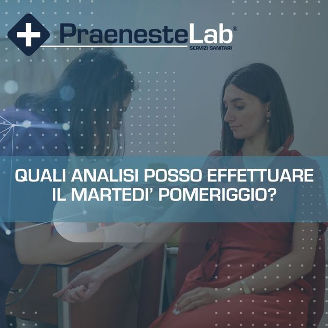 Ingrandire l'immagine: Praeneste lab