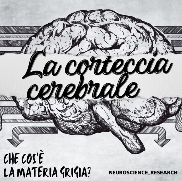 Ingrandire l'immagine: Consulenza online