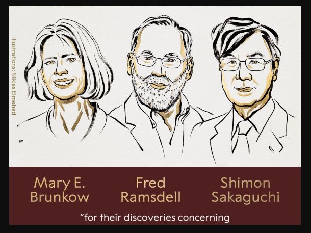 Ingrandire l'immagine: Studio medico Dr.ssa Chrys Stafylaraki