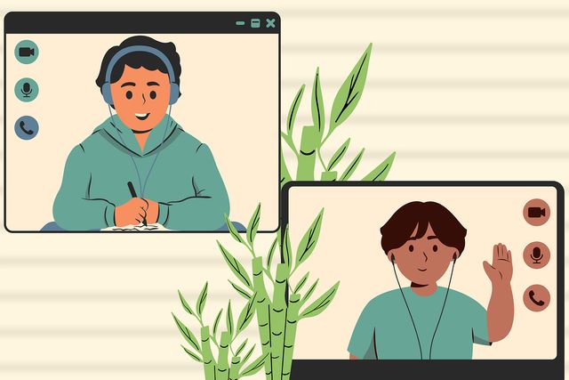 Acercar imagen: Consulta online