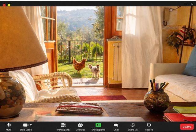 Ingrandire l'immagine: dott.ssa Linda Malatesta