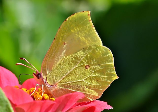 Acercar imagen: Gabinete de Psicología Noelia Ugena