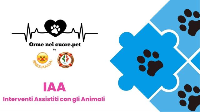 Ingrandire l'immagine: Associazione Smile