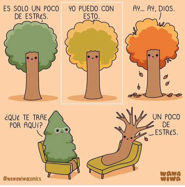 Acercar imagen: Consulta online