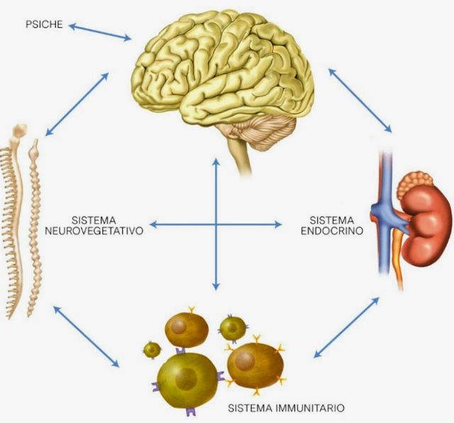 Ingrandire l'immagine: Studio di consulenza online