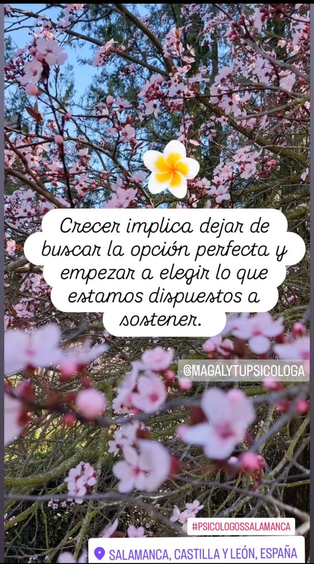 Acercar imagen: Magaly Alvarez Psicología