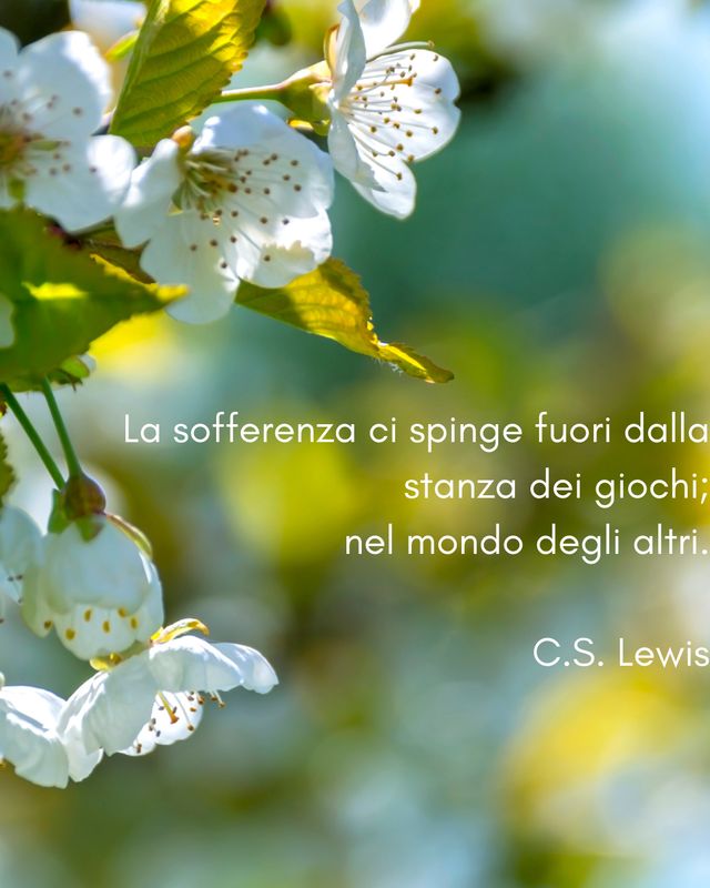 Ingrandire l'immagine: consulenza online 