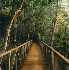 Acercar imagen: Consulta privada Inma Castillo Serrulla