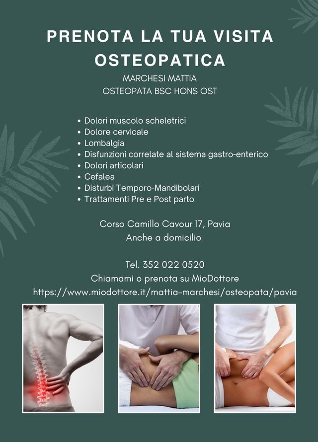 Ingrandire l'immagine: Marchesi Mattia Osteopata