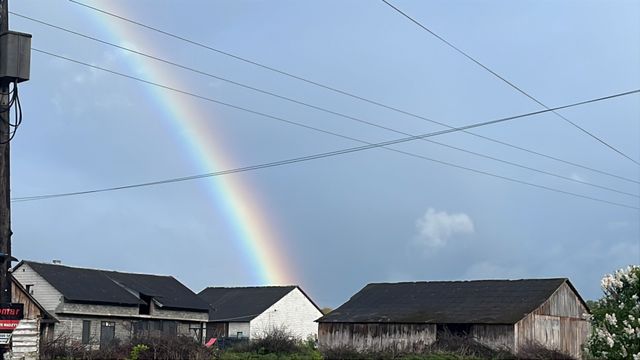 Powiększ obraz: Gabinet 3 programy samorozwój i stop derpesji