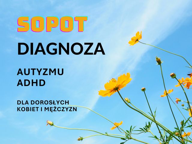 Powiększ obraz: Leśny Gabinet