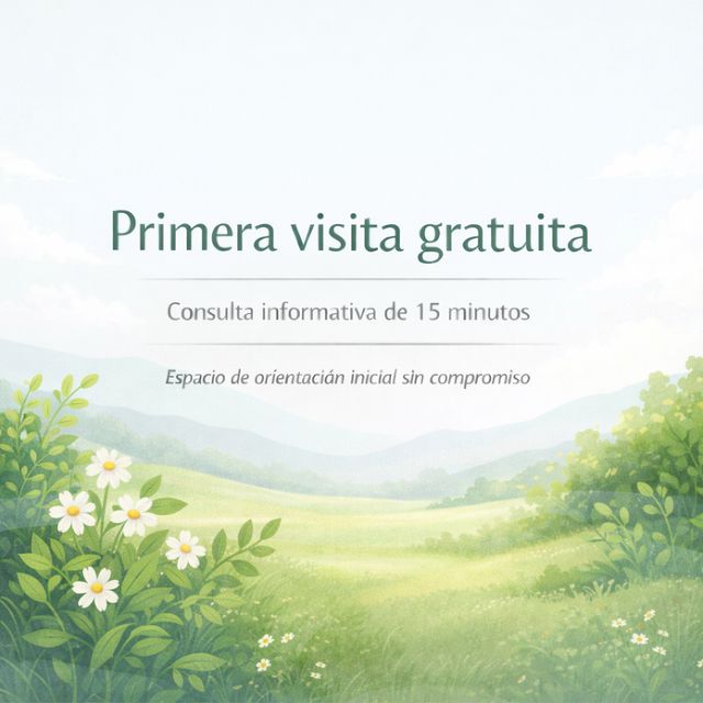 Acercar imagen: Consulta online