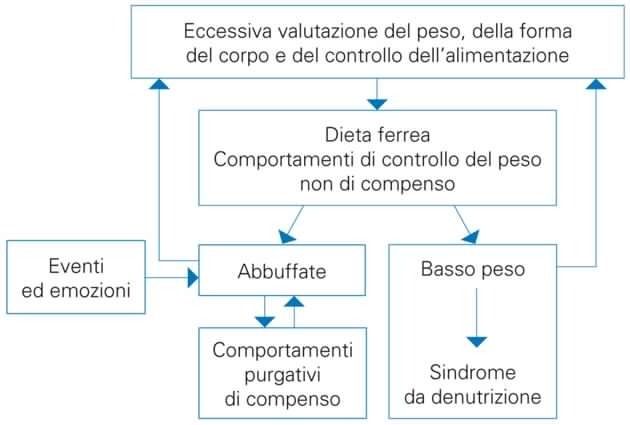 Ingrandire l'immagine: Città Studi Psicologia
