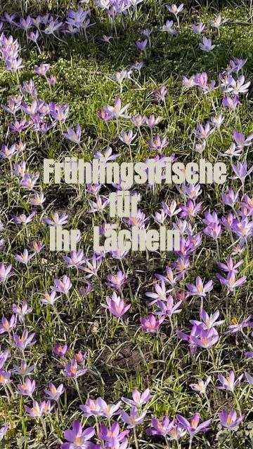 Bild vergrößern: Olowow - Zahnarztpraxis Margaret Olowookere