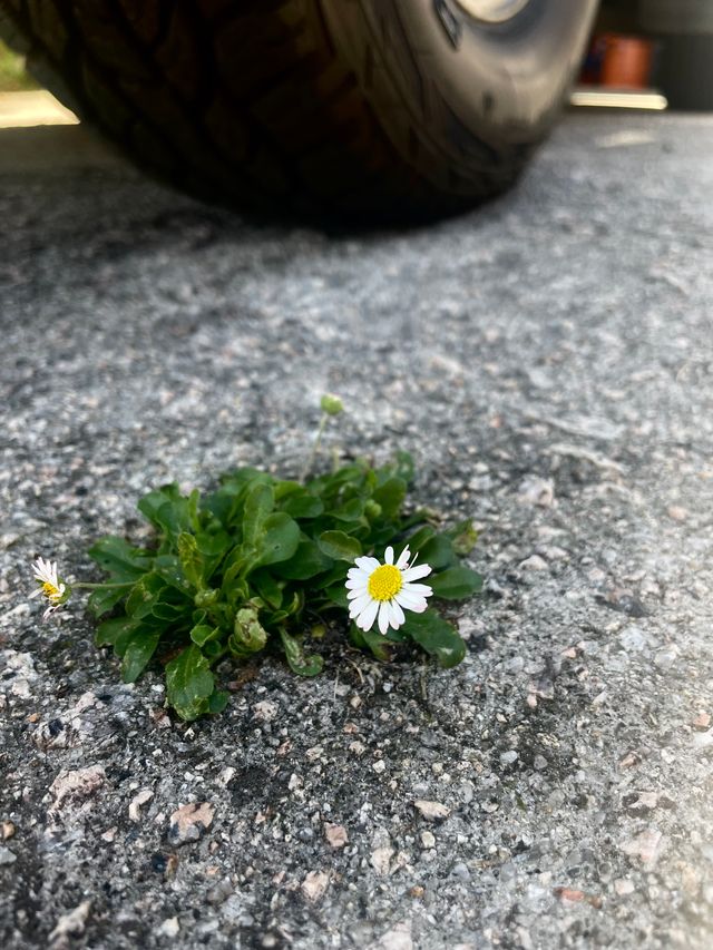 Acercar imagen: Consulta de Psiquiatría Joaquin Pacheco