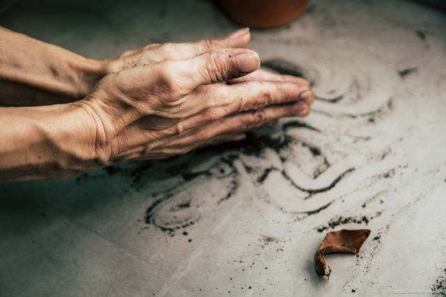 Acercar imagen: La Mirada Violeta
