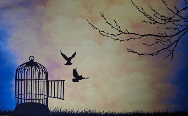 Ingrandire l'immagine: JASMINE SCIOSCIA