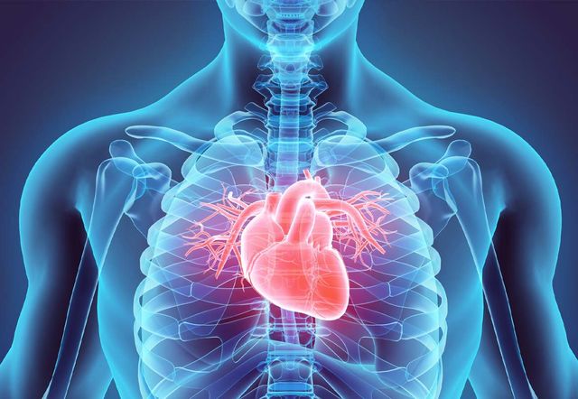 Ingrandire l'immagine: Studio Medico Dott.ssa Lardone