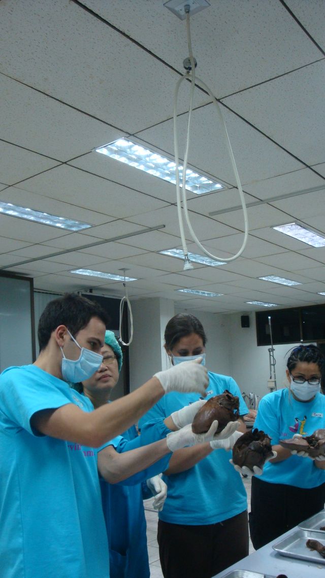 Ingrandire l'immagine: Centro di Osteopatia e Fisioterapia - Bellofiore Motion Lab
