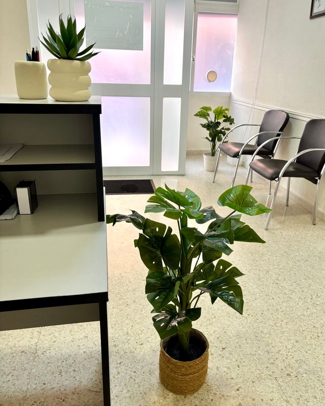 Acercar imagen: Consulta online