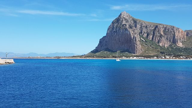 Ingrandire l'immagine: MED IN SALUS (MEDICINA INTEGRATA E SALUTE)