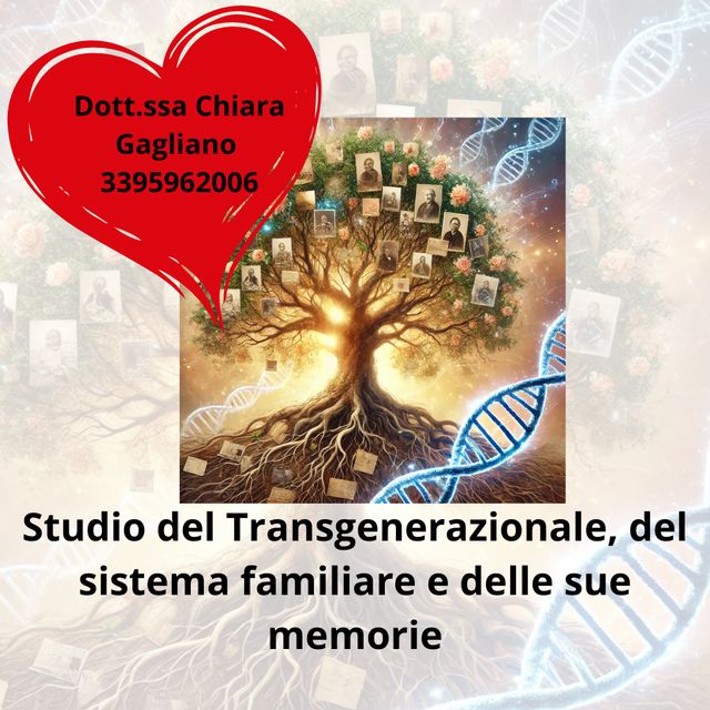 Ingrandire l'immagine: Dbr Studio Online