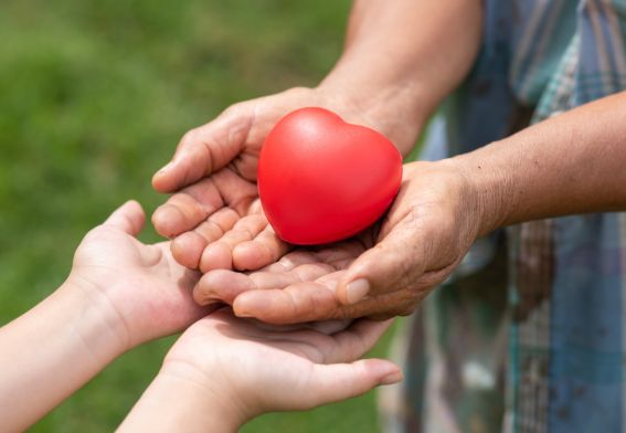 Acercar imagen: Vidaria