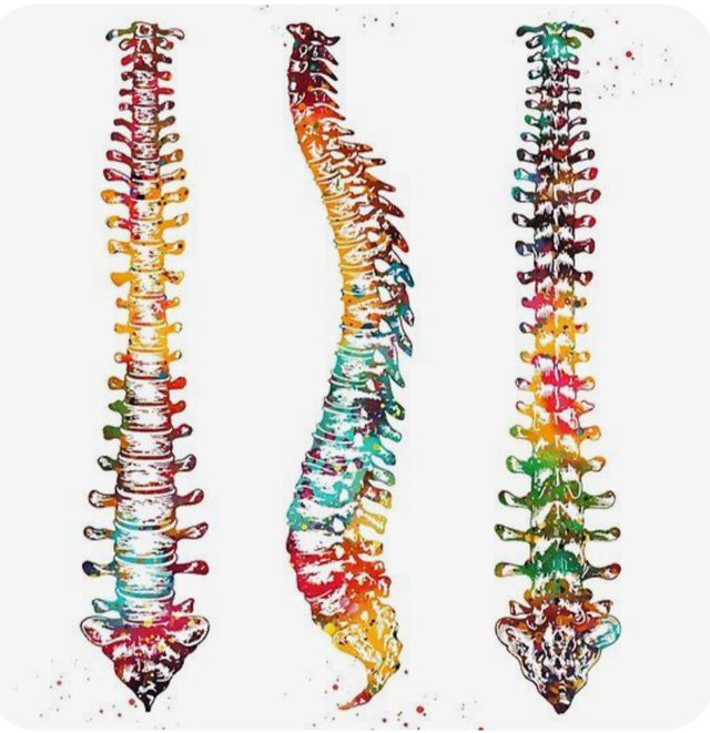 Ingrandire l'immagine: PerForm