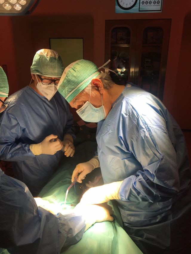 Ingrandire l'immagine: MEDICAL CENTER Lodi