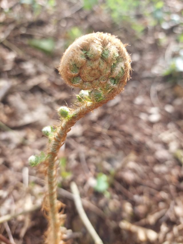 Ingrandire l'immagine: Consulenza online