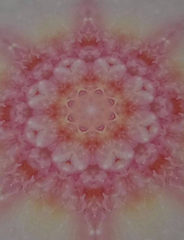 Ingrandire l'immagine: Studio Jyotir