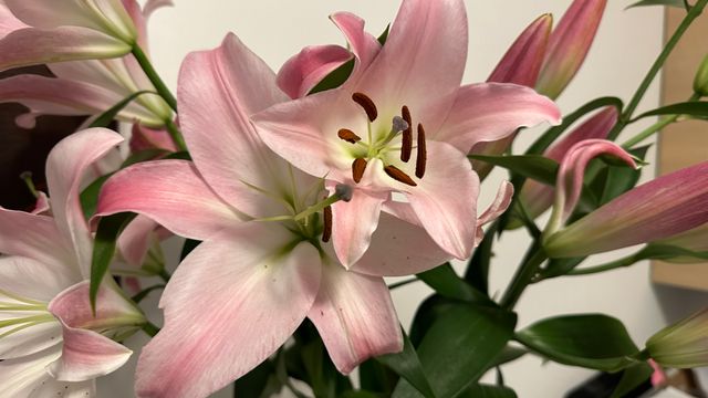 Powiększ obraz: "OCULUS" Krakowskie Centrum Okulistyczne 