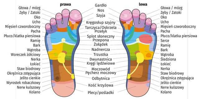 Powiększ obraz: Podobaltica