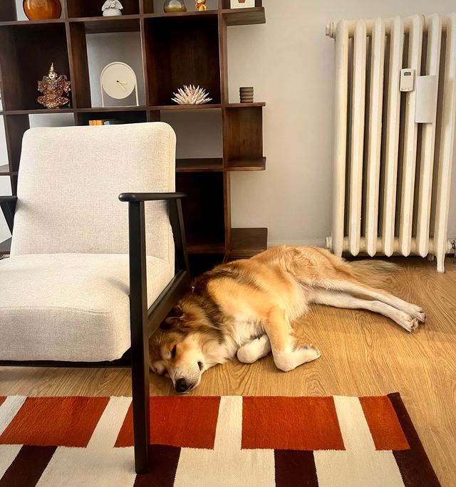 Ingrandire l'immagine: Consulenza online